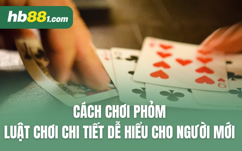 Cách chơi phỏm, luật chơi chi tiết dễ hiểu cho người mới