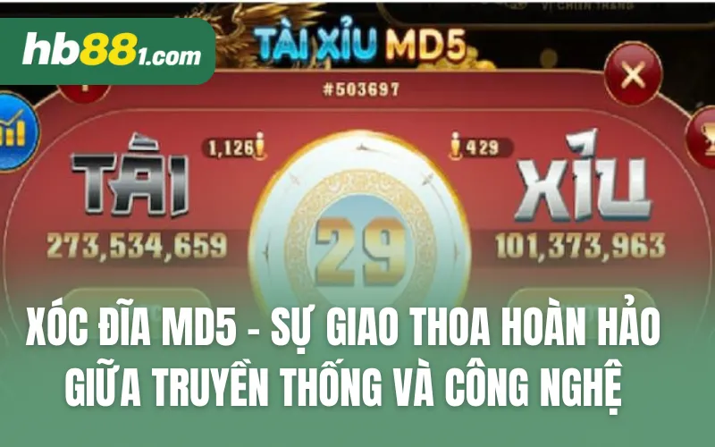 Xóc đĩa MD5 - Sự giao thoa hoàn hảo giữa truyền thống và công nghệ 