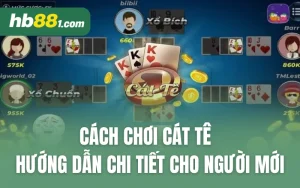 Cách Chơi Cát Tê - Hướng Dẫn Chi Tiết Cho Người Mới