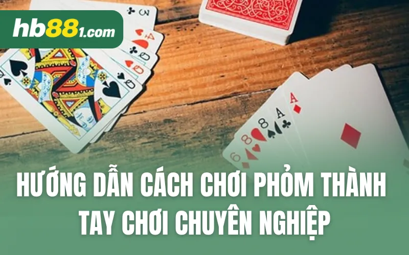 Hướng Dẫn Cách Chơi Phỏm Thành Tay Chơi Chuyên Nghiệp